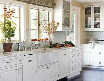 Site Blogspot  Bath  Kitchen Designs on We Could Afford To Do Marble Counter Tops  Who Knows   I Have Ideas