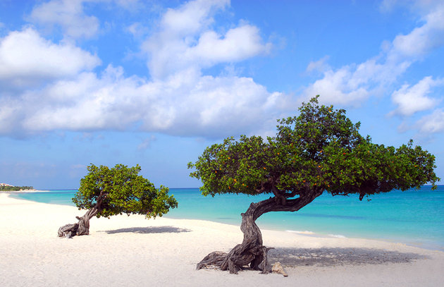 Eagle Beach, Aruba