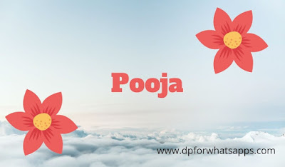 stylish pooja name wallpaper|pooja name photo|good morning pooja name image| good night pooja name image | Pooja name photo |pooja name dp Photo | pooja name dp | pooja name dp for whatsapp | pooja name dp download | pooja name dp pic Hello|stylish pooja name wallpaper | pooja name dp |pooja name image | pooja name dp photo