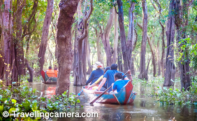 We visited the Kampong Phluk floating village. During this tour, you have an option of taking a boat ride through flooded mangrove forests. The ride costs 5 USD per person. On each boat two adults (excluding the boat rower) are allowed.