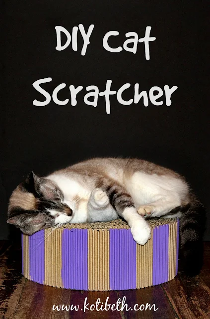 diy cat scratcher or bed