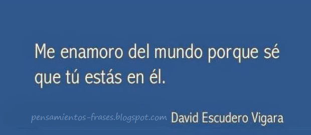 frases de David Escudero Vigara