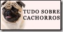 Tudo sobre Cachorros
