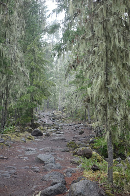 Rocks & Trees