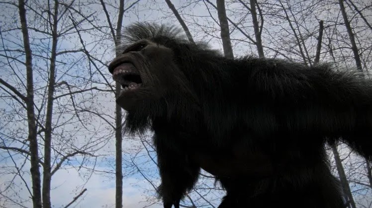 Ohio woman captures frightening “Bigfoot” howling