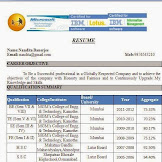 Resume Format For Freshers Word File Free Download : Resume formats for 2020 | 32+ Free Resume Templates For ... : Download this and frame your resume in minutes.