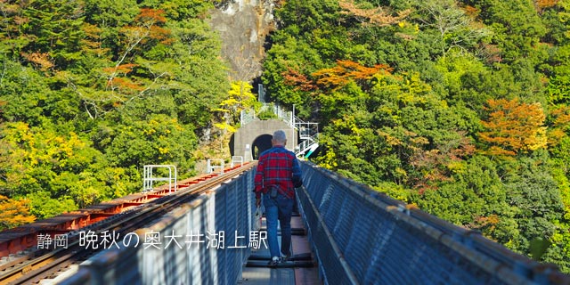 奥大井湖上駅の紅葉を見に行った