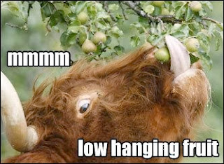 http://www.boostsuite.com/2012/07/24/are-you-picking-your-low-hanging-seo-fruit/ 