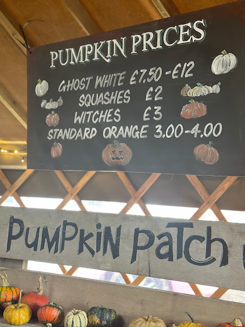 pumpkin patch uk price list