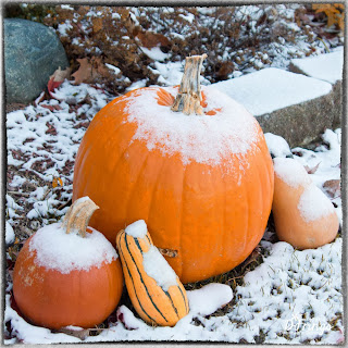 First Snow of Winter Northville 2 - Photo by Deborah Frings - Deborah's Gems