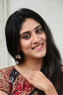 Dhanya Balakrishna Stills at Software Sudheer Success Meet