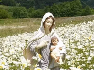 Miracle of Our Lady of the Flowers repeatedly occurred near Turin in 1336, Madonna dei Fiori