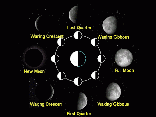 moon phases