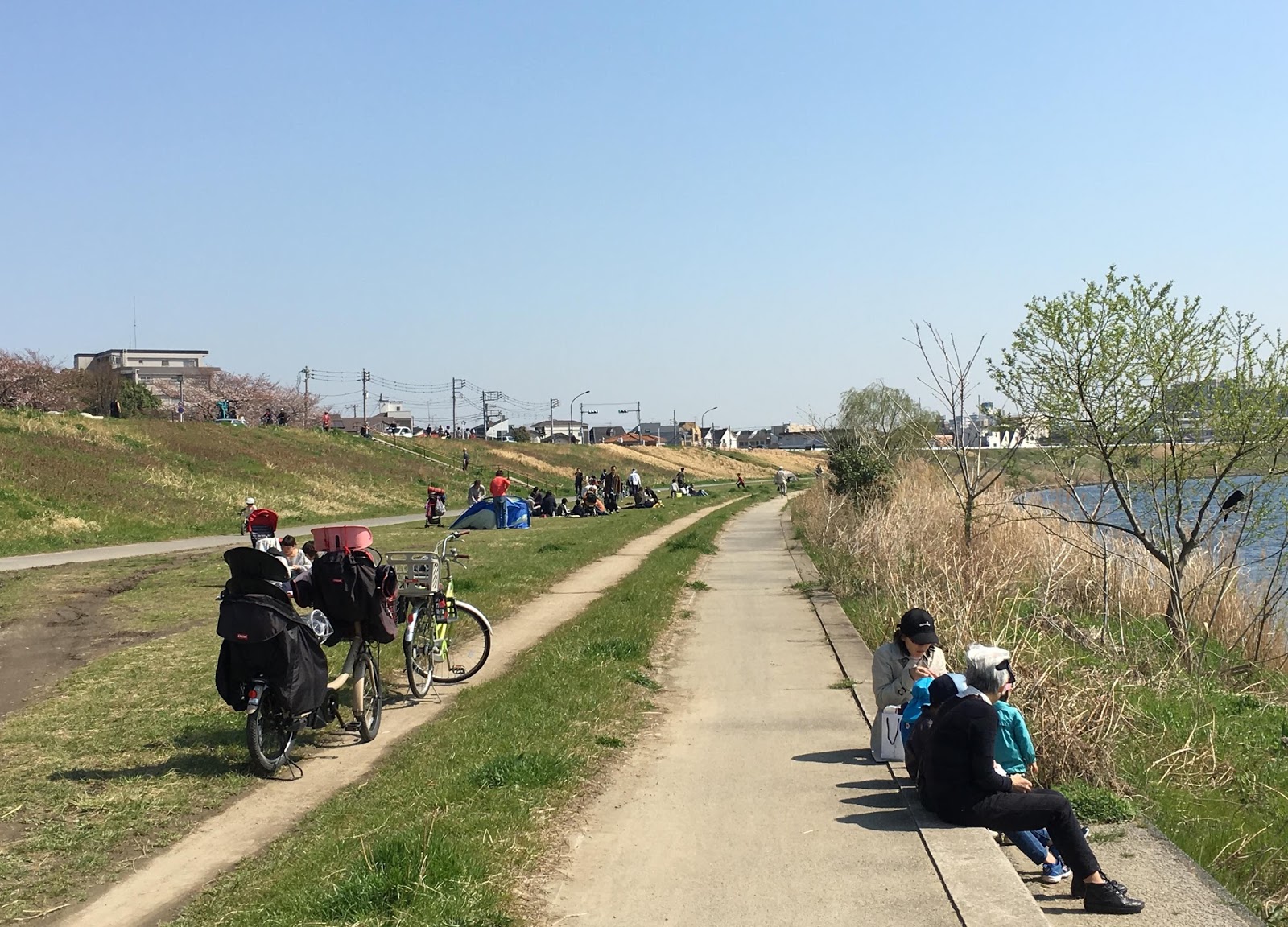 東京にあるホームレスの集落 人々が集う多摩川の河川敷にあるのわ C ミライノシテン 東京にあるホームレスの集落 人々が集う多摩川の河川敷にあるのわ C ミライノシテン