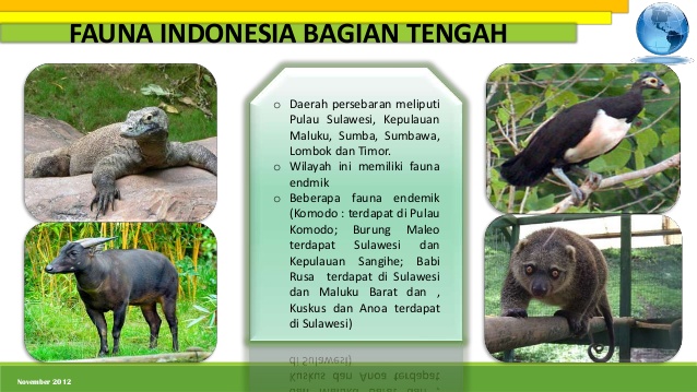 Persebaran fauna  di indonesia  bagian  barat  tengah dan timur