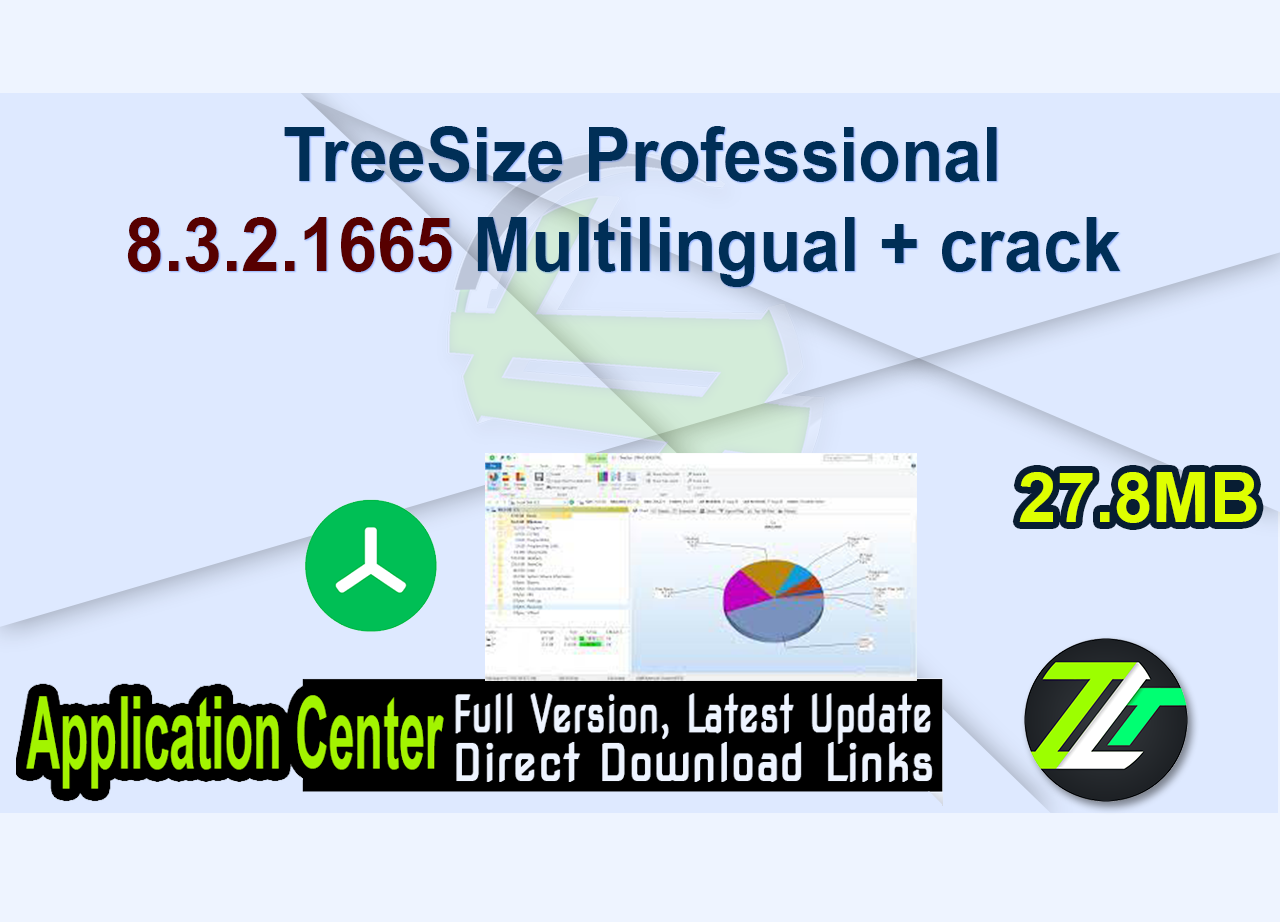 TreeSize Professional 8.3.2.1665 Multilingual + crack 