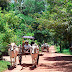 Khmer Ox-Cart – An Ancient Vehicle