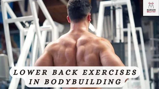 Lower Back Exercises in Bodybuilding