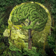 Inteligencia y semiótica de la naturaleza. Francisco Acuyo