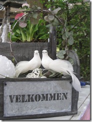 bloggebilder 065