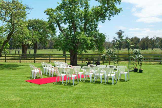 Wedding arches Red carpet Chairs Topiary trees Aisle posts tulle and 