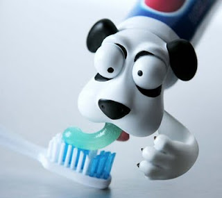 toothpaste holder 