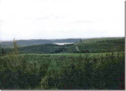 View of Silver Lake from the Weyerhaeuser Woods Railroad (WTCX) at Headquarters, Washington on May 17, 2005