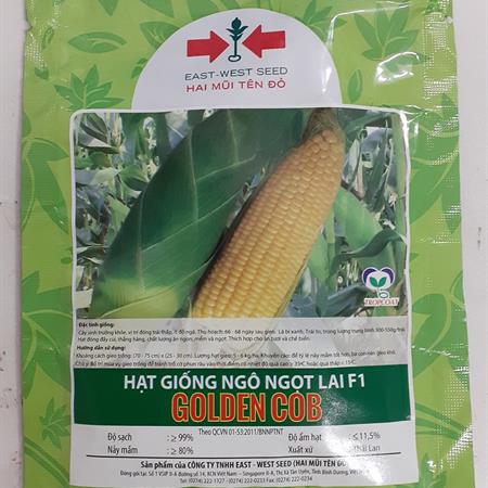 Hạt giống Ngô ngọt lai F1 Golden COB - Bắp Mỹ - Gói 50Gr