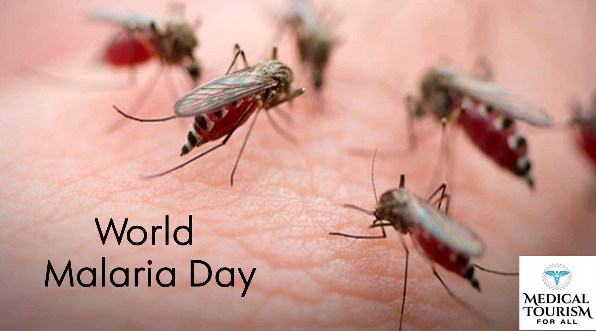 World Malaria Day Wishes Beautiful Image
