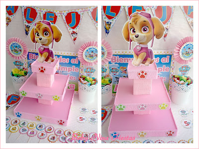 kit de cumpleaños sky patrulla canina