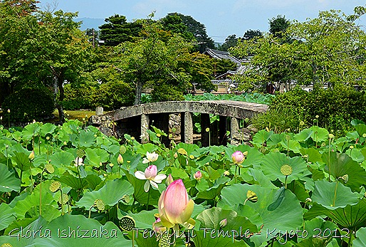 Gloria Ishizaka - Tenryuji Temple - Kyoto - 2012