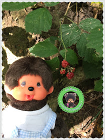 Bubbles le Monchhichi fait des découvertes à la forêt - bois - parc - rouelle - le havre