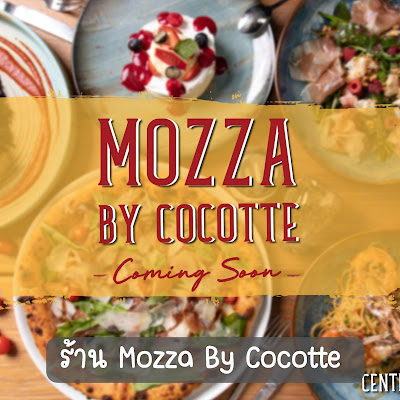 ร้าน Mozza By Cocotte OHO999