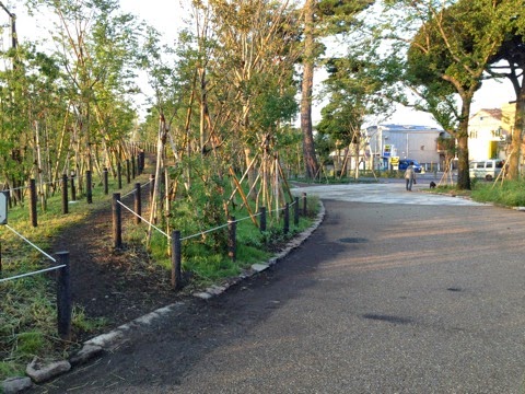 IMG_3668.JPG IMG 3668