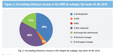 http://www.emro.who.int/pandemic-epidemic-diseases/influenza/influenza-monthly-update-november-2018.html