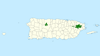 Porto Riko papağanı dağılım haritası