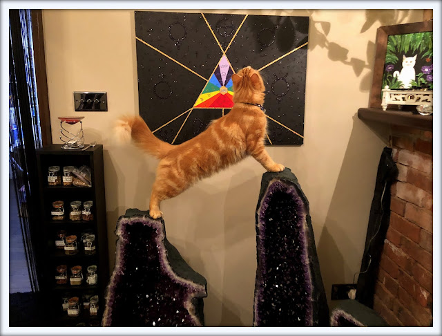 Mandalas on Monday ©BionicBasil® Colouring With Cats Mandala #112  Fudge Enjoying Amethyst Climbing
