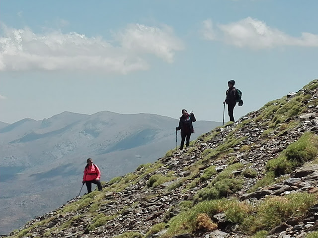 Picón,Sierra Nevada