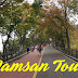 Korea Musim Luruh 2016 - Namsan Tower