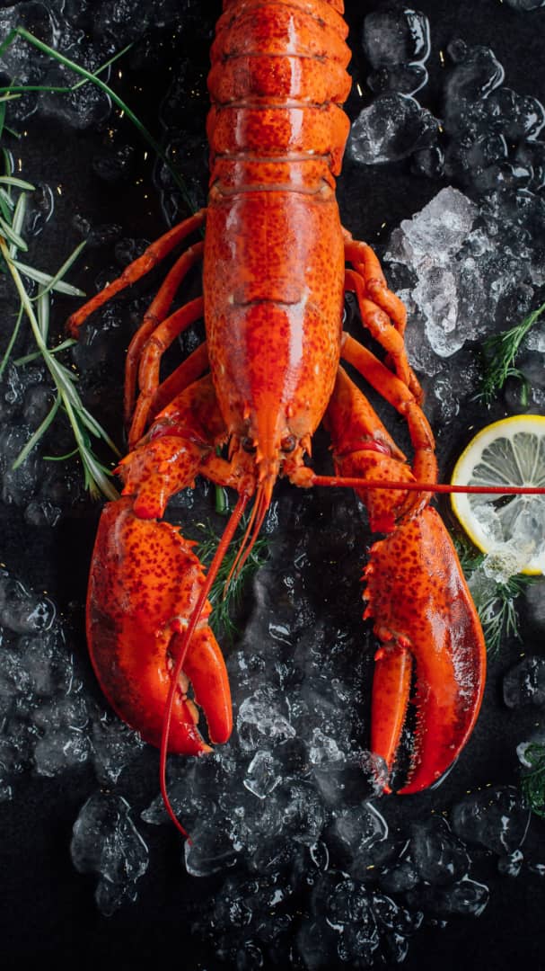 THE BEST SEAFOOD RESTAURANT IN BANGSAR KUALA LUMPUR OMBAK KITCHEN