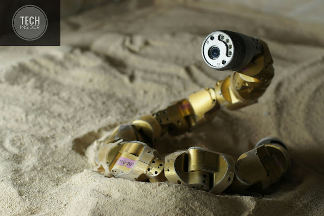 Robot Snake