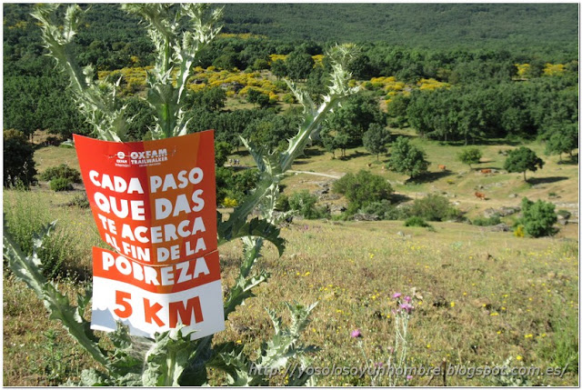 Primera hito kilométrico, uno cada 5 km. ya solo quedan 19!