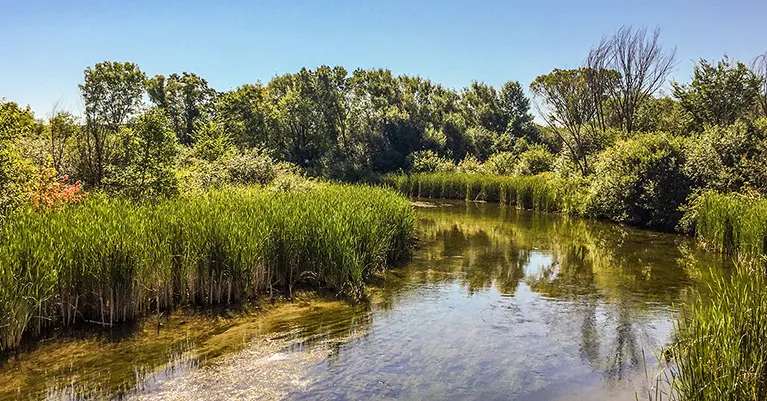 Bark River on the Ice Age Trail Delafield Segment