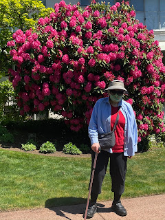 An elderly woman with serious sunglasses, a hat, a cane, and a red shirt that matches the blooming rhododendron