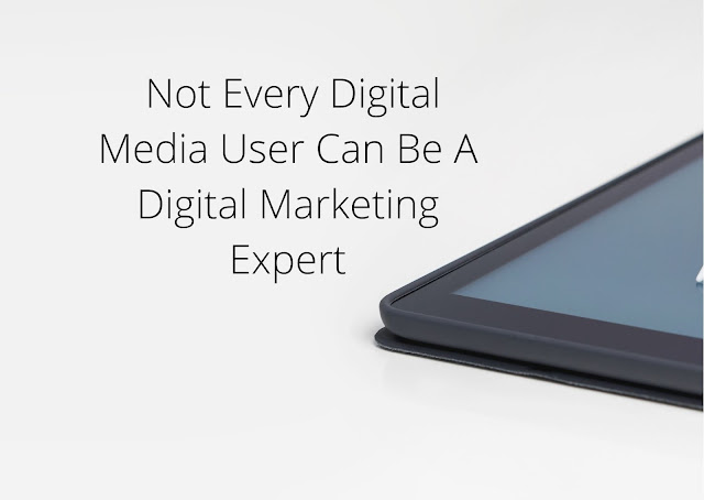 Gigi Catalin Neculai- Not Every Digital Media User Can Be A Digital Marketing Expert