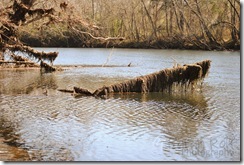 log-in-river