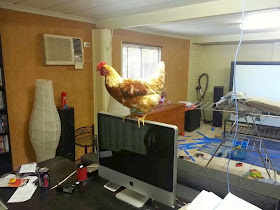 Funny animals of the week - 20 December 2013 (40 pics), chicken stands on computer monitor