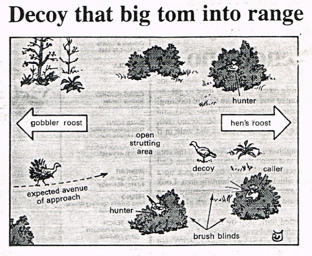 DECOY, TURKEY, CALL TURKEY