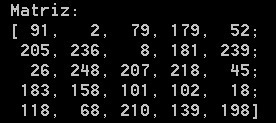 imprimir matriz opencv