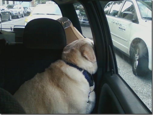 connor in the car